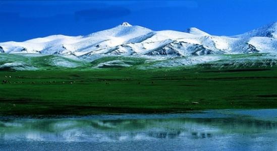 【天山乳业项目】可曲挠橡胶接头合同